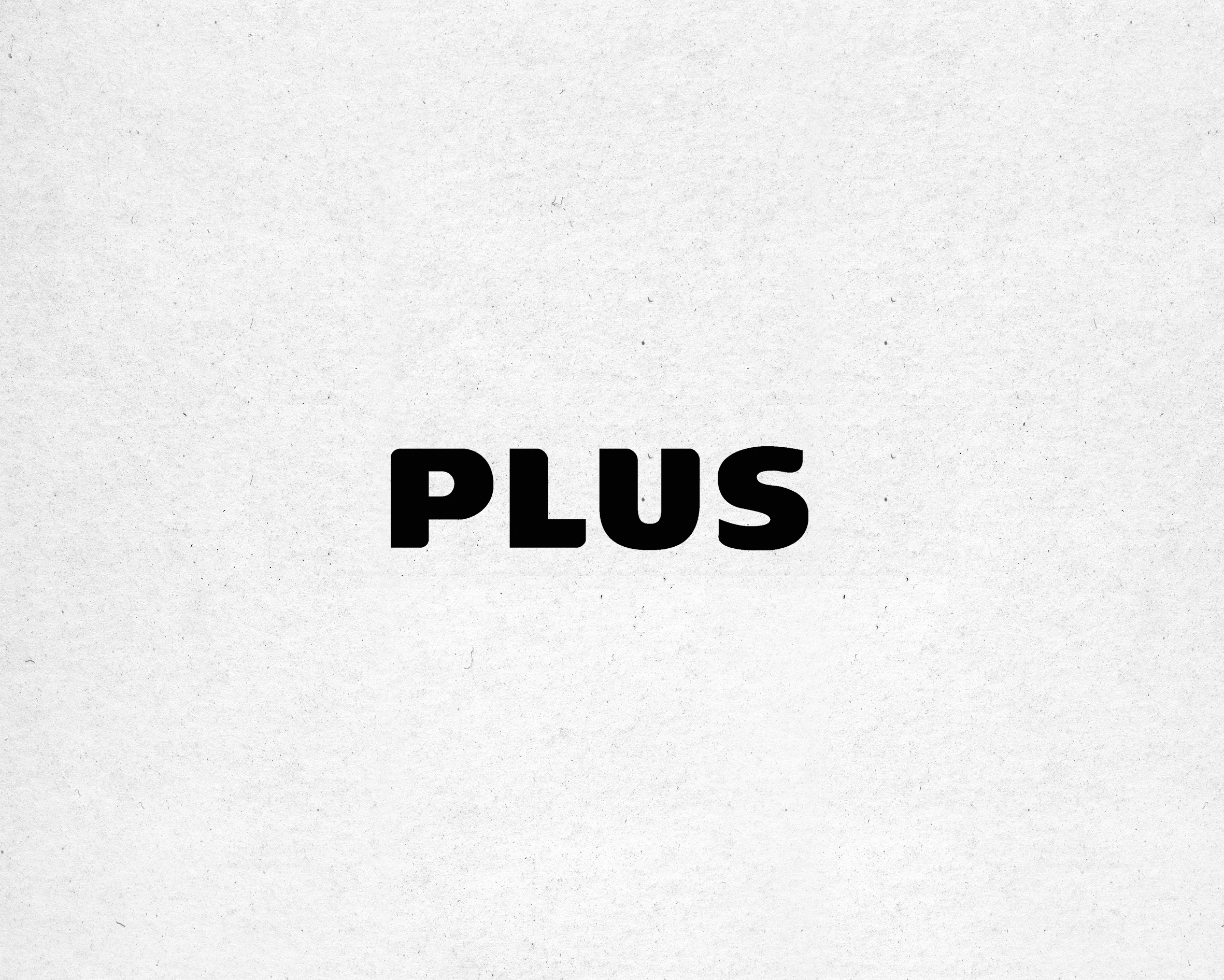 Plus 02b copy